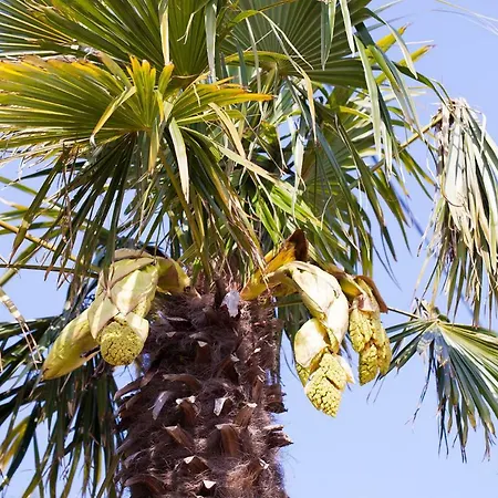 Ferienhaus Holiday Kuca Na Moru