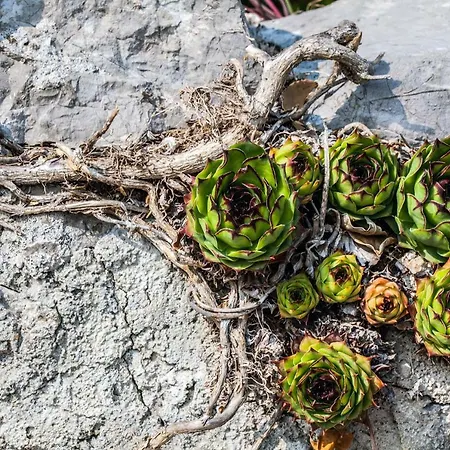 Holiday Kuca Na Moru Ferienhaus