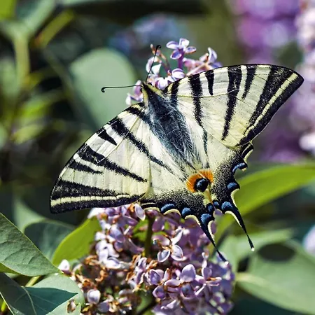 Holiday Kuca Na Moru Ferienhaus