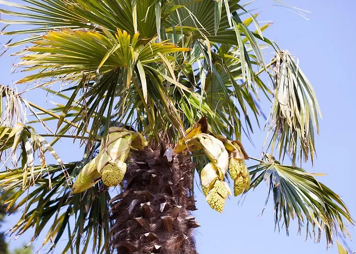 度假居 Kuca Na Moru